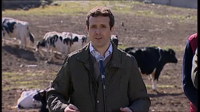 Casado: Nadie se ha portado tan mal con Rajoy como Pedro Sánchez