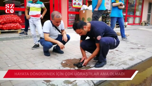 Hayata döndürmek için çok uğraştılar ama olmadı