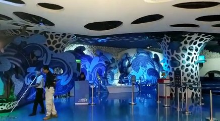 Jakarta Aquarium Boyong Kutu Laut Hingga Gurita Raksasa ke Indonesia