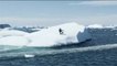 Esquí acuático extremo entre icebergs en Groenlandia