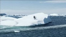 Esquí acuático extremo entre icebergs en Groenlandia