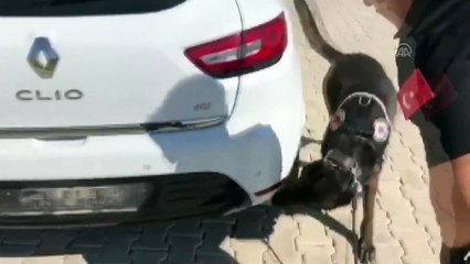 Park halindeki araçta 103 kilo eroin bulundu - VAN