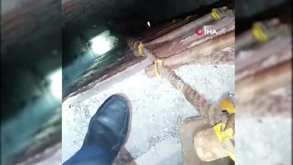 Yavru kediyi itfaiye kurtardı