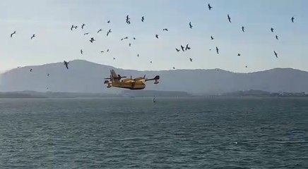 Hidroavión para la extención de incendios del Ministerio de Agricultura en Cantabria