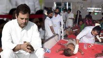 Chamki Fever से सैकड़ों बच्चों की मौत, Rahul Gandhi नहीं मनाएंगे अपना 49th Birthday | वनइंडिया हिंदी