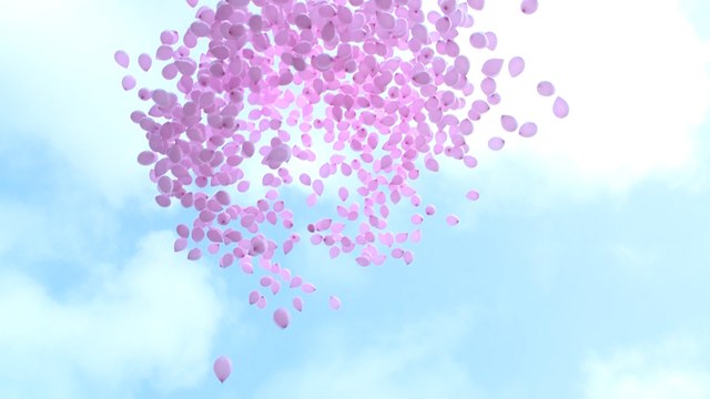 Política, deporte, y cultura, juntos contra el cáncer de mama