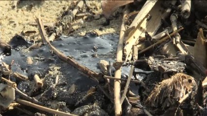 El combustible del último vertido llega a la costa de Riviera Francesa