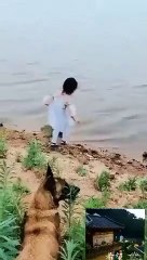 Dog saving girl from falling into deep water is making the internet very emotional