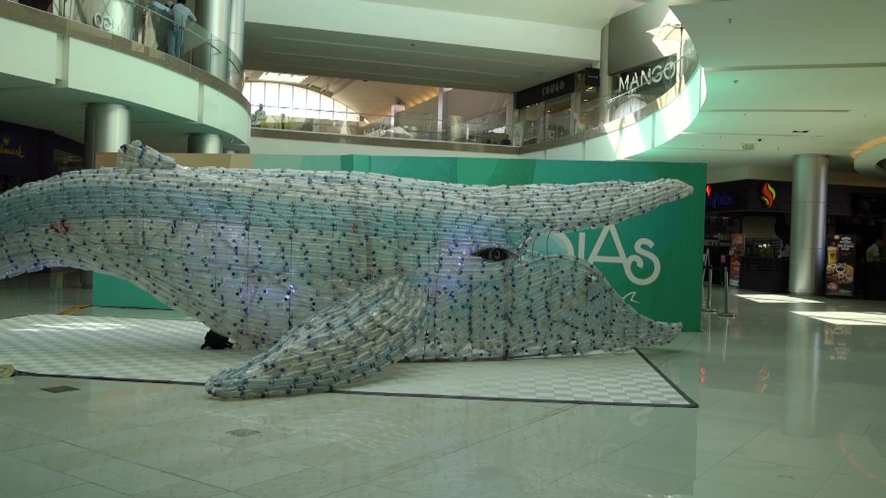 Multiplaza y Fundación MarViva lanzan 'Bajo las Olas'