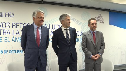 Grande-Marlaska inteviene en jornadas sobre violencia en infancia