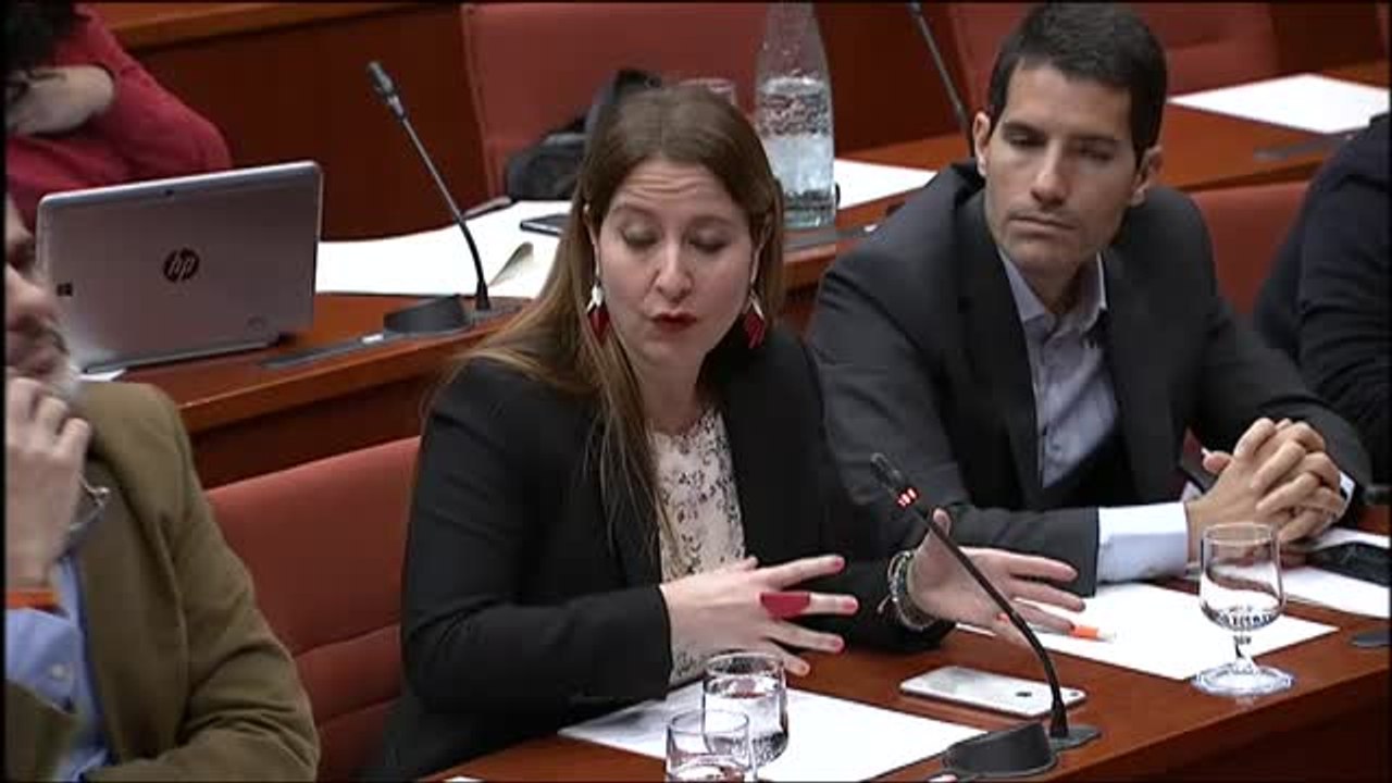 Sonia Sierra: "Pueden seguir pintándonos las sedes de amarillo como los nazis a los judíos pero no nos callarán"