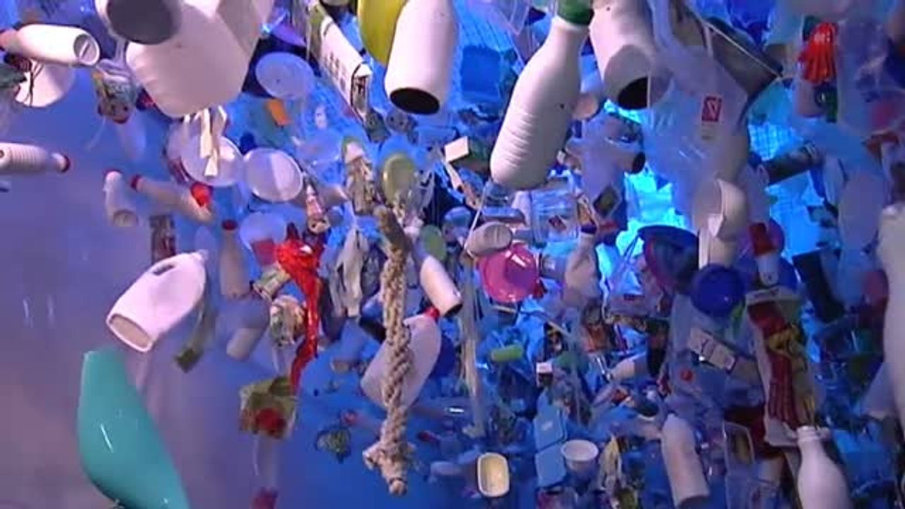 Sylvia Earle ofrece una charla sobre contaminación a niños de un colegio de Asturias