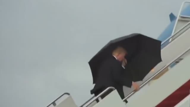 Donald y Melania Trump ya no comparten ni el paraguas