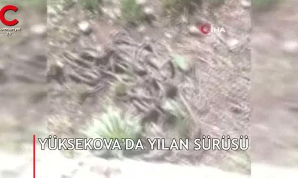 Cep telefonuyla görüntülendi... Hayatımda gördüğüm en acayip durum. Çok korkutucu!
