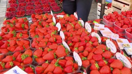 Marchés - Ramène ta fraise !