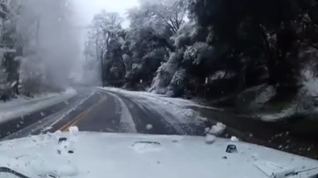 Un matrimonio es atrapado por la caída de un árbol y un cable de alta tensión, que provoca un incendio