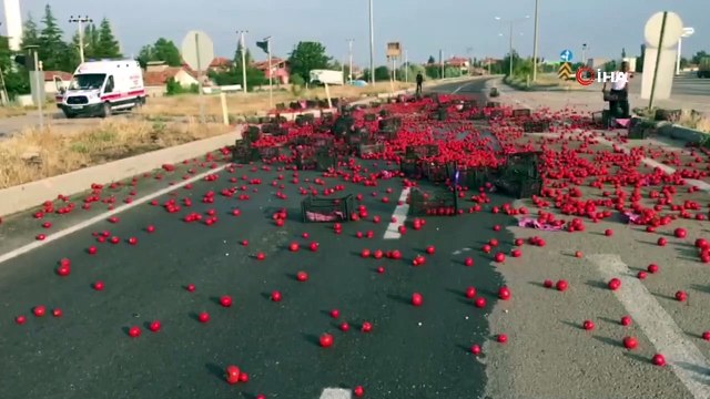 Kontrolden çıkan tır karşı şeride geçti, karayolu domates tarlasına döndü...Vatandaşlar domatesleri tarladan toplar gibi topladı