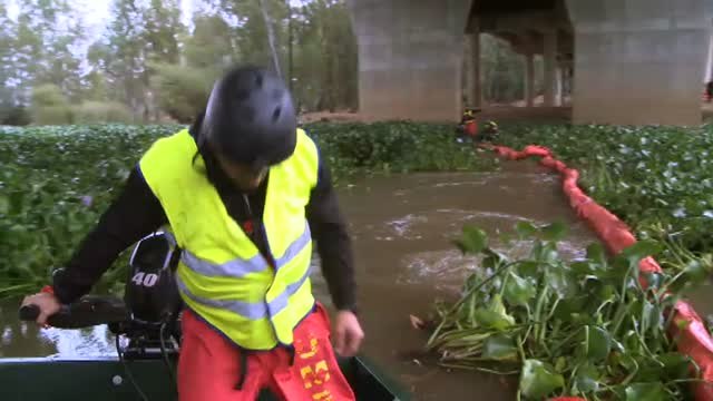 La UME limpia el río Guadiana de Camalote