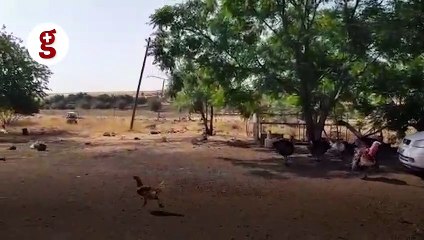 Ailesinin öldürülme anını gözyaşları ile kayıt altına aldı