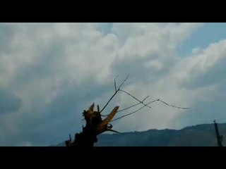 EDITORIAL TRA OTRA VEZ LA FRONTERA