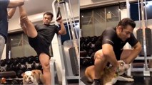 Salman Khan's Dog Torro WORKOUTS IN Gym _ Check out Guys