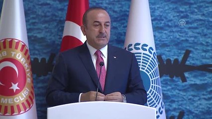 Çavuşoğlu: "Suriyelilerin kendi anayasalarının hazırlanması ve siyasi çözüme doğru ilerleme...