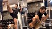 Salman Khan's Dog Torro WORKOUTS IN Gym | Check out Guys |