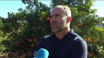 El precio de las naranjas y mandarinas, por los suelos