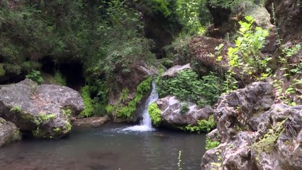 Ormanın içindeki 'gizli cennet' ziyaretçilerini büyülüyor - ANTALYA
