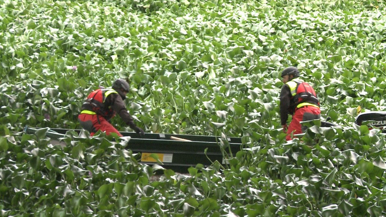 UME empieza los trabajos de retirada de Camalote