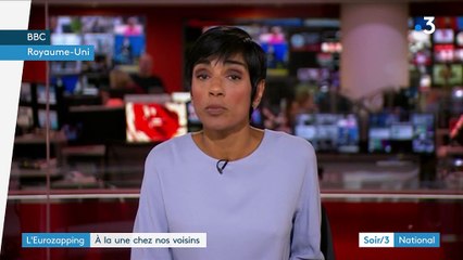 Eurozapping : des néonazis en voulaient au prince Harry ; des milliers d'oies sauvages tuées en Belgique