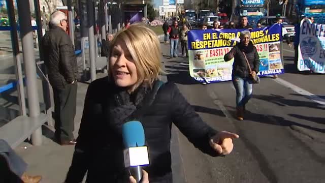 Tensión entre PACMA y miembros de la Asociación Circos Reunidos