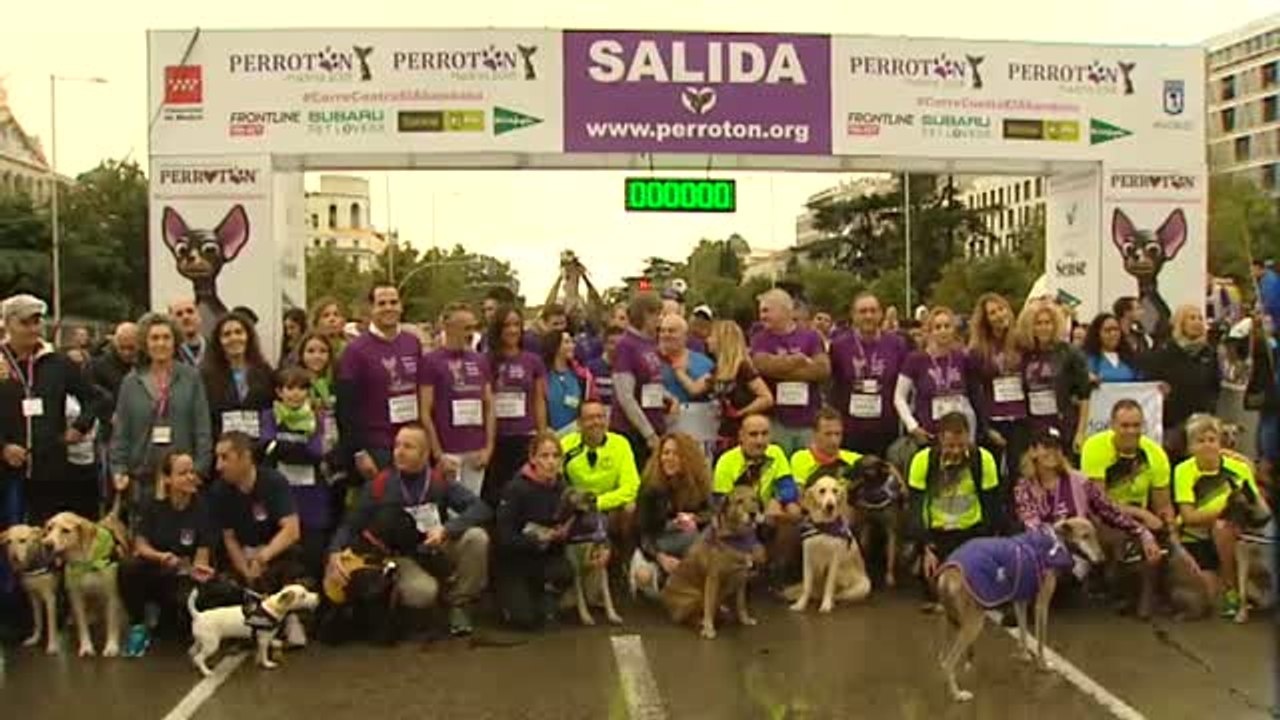 Perros grandes y pequeños corren junto a sus dueños en la séptima edición del Perrotón