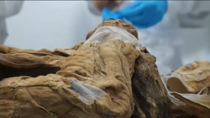 La momia que puede ser clave en la historia de las enfermedades