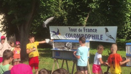 12 et 13e étapes du Tour de France colombophile