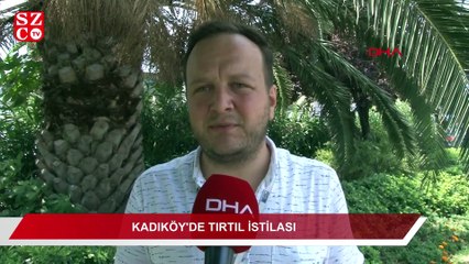 Kadıköy'de tırtıllar parklarda ağaçları sardı