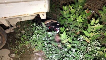 Boş arsa üzerinde kadın cesedi bulundu