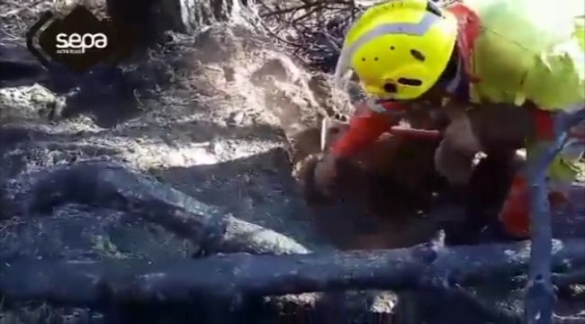 Bomberos realizan tareas de remate de un incendio en Asturias