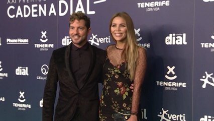 ¡David Bisbal y Rosanna Zanetti van a ser padres!