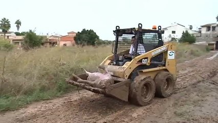 La solidaridad aflora tras la tragedia en Mallorca