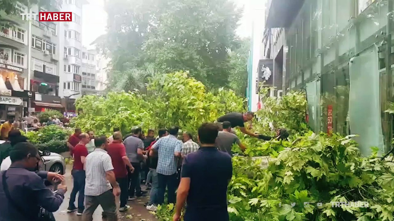 Ağaç otomobilin üzerine devrildi