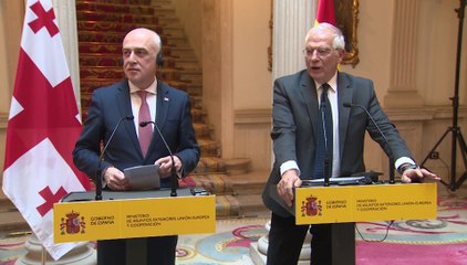 Borrell junto a su homólogo georgiano, David Zalkialini