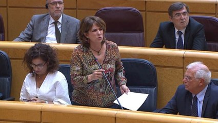 Delgado, al PP: "Ponen en peligro la convivencia"