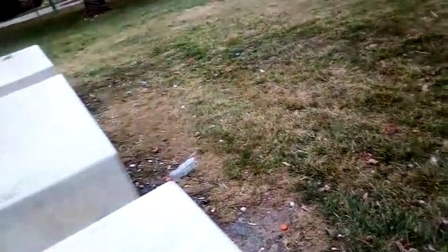 Rifiuti abbandonati nella villa comunale di Andria - giugno 2019