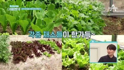 앵무새가 말을 한다?! 초특급 엘리트(?) 앵무새의 등장! (ft. 전원주택 체험기)