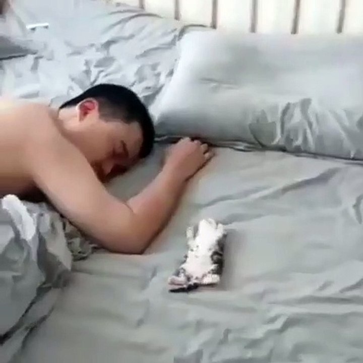 Ce chaton va vous faire fondre. Trop mimi !