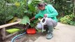 Orphaned Wallaby’s Human Caretaker Carries Him Around in a Pouch on Her Chest