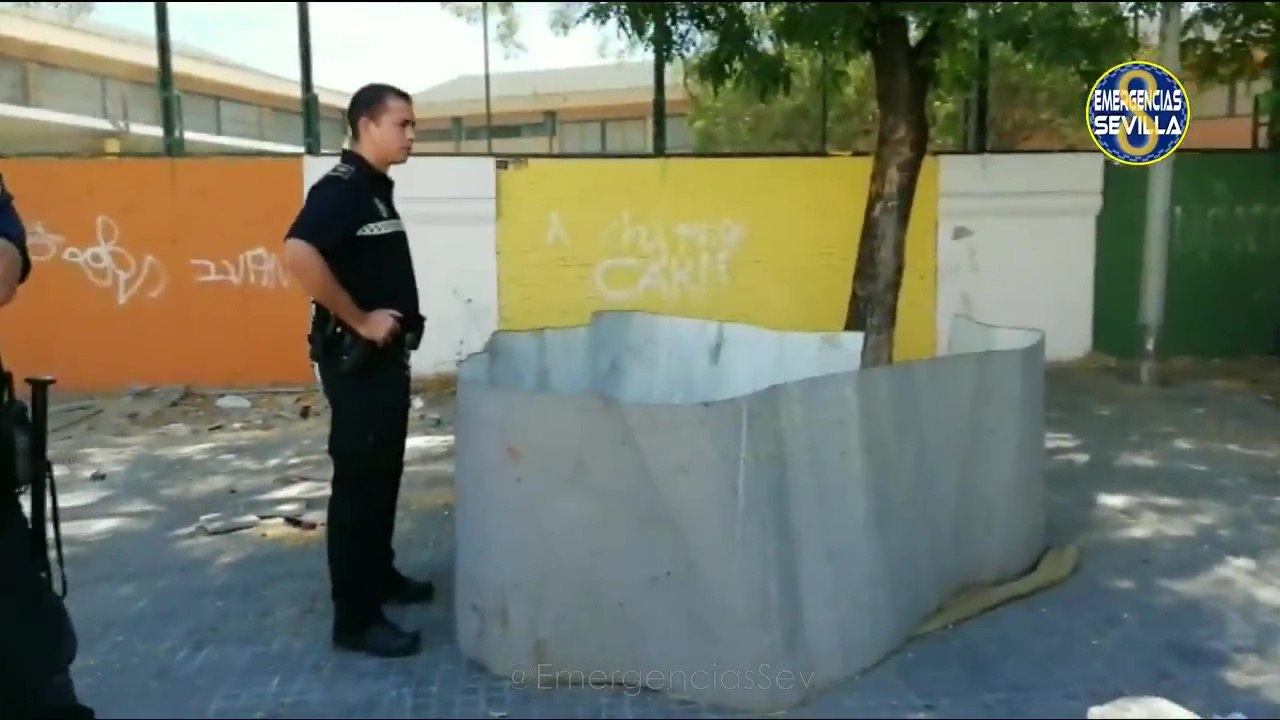 Denuncian a un joven acusado de maltrato animal por realizar peleas de gallos