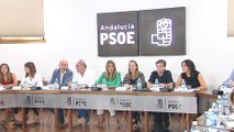 Comisión Ejecutiva Regional del PSOE-A