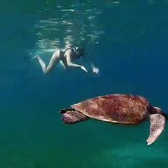 Cette femme s'amuse avec des tortues. Adorable !!
